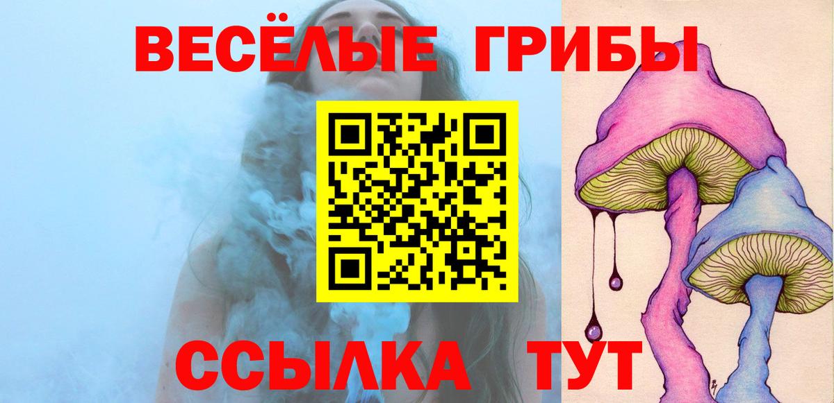 Псилоцибиновые грибы GOLDEN TEACHER  Вход с VPN  Орехово-Зуево 