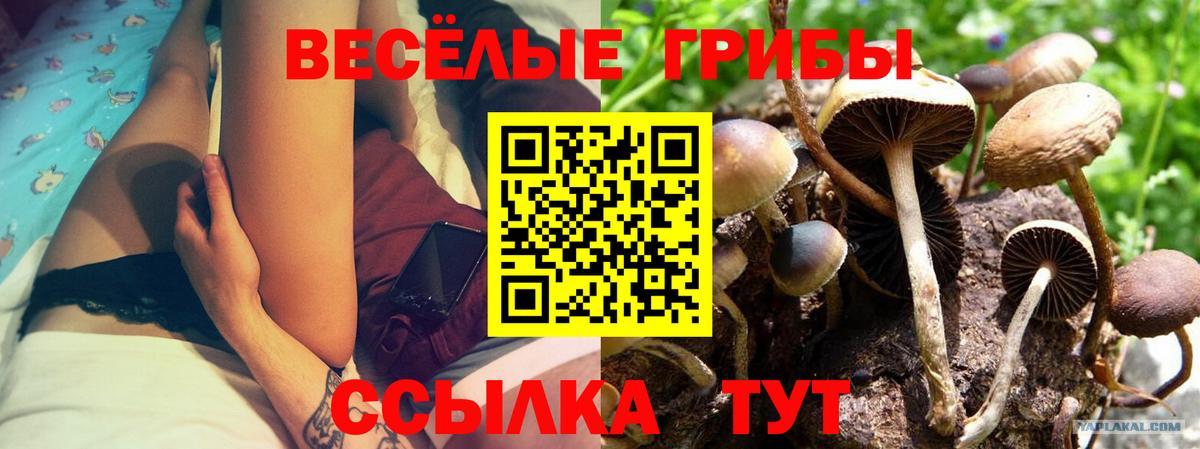 Псилоцибиновые грибы мицелий Орехово-Зуево